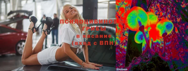 ПСИЛОЦИБИНОВЫЕ ГРИБЫ Алзамай