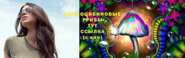 ПСИЛОЦИБИНОВЫЕ ГРИБЫ Алзамай