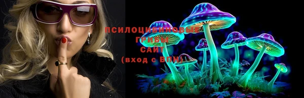герыч Алексин