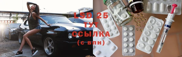 ПСИЛОЦИБИНОВЫЕ ГРИБЫ Алзамай