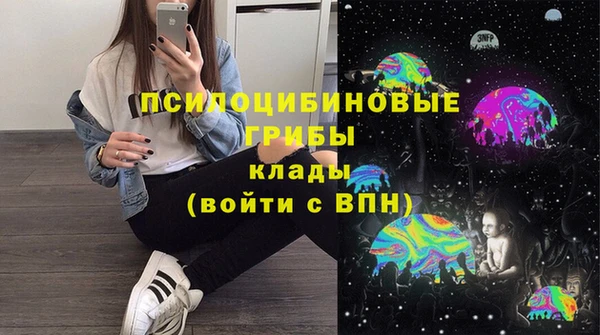 ПСИЛОЦИБИНОВЫЕ ГРИБЫ Алзамай