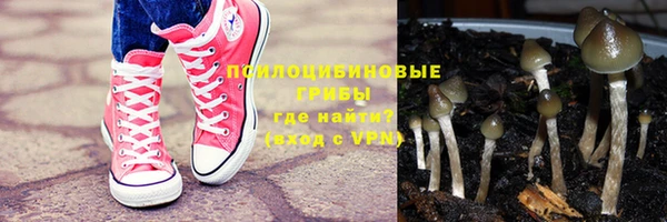 ПСИЛОЦИБИНОВЫЕ ГРИБЫ Алзамай