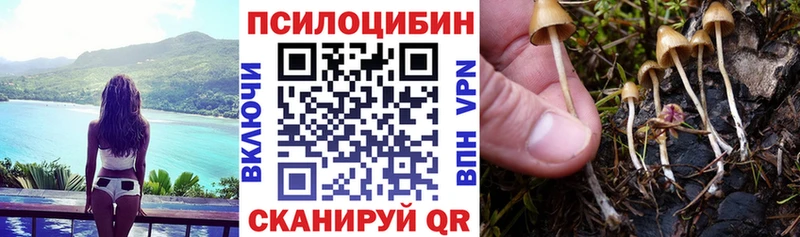 Псилоцибиновые грибы MAGIC MUSHROOMS  наркота  Вихоревка 